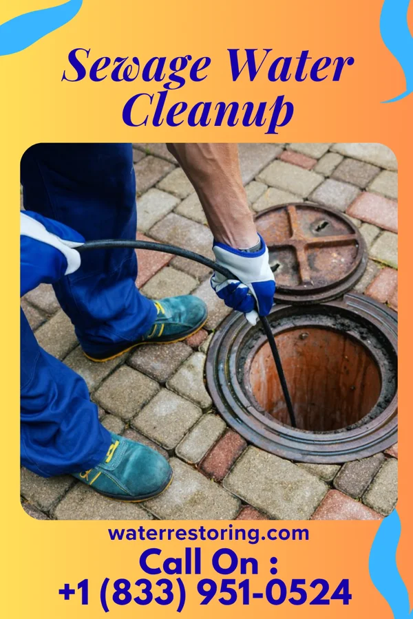 Sewage Water Cleanup in Farr West, UT