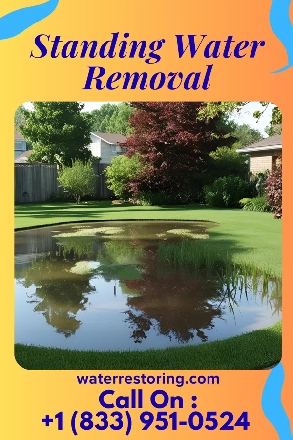 Standing Water Removal in Farr West, UT